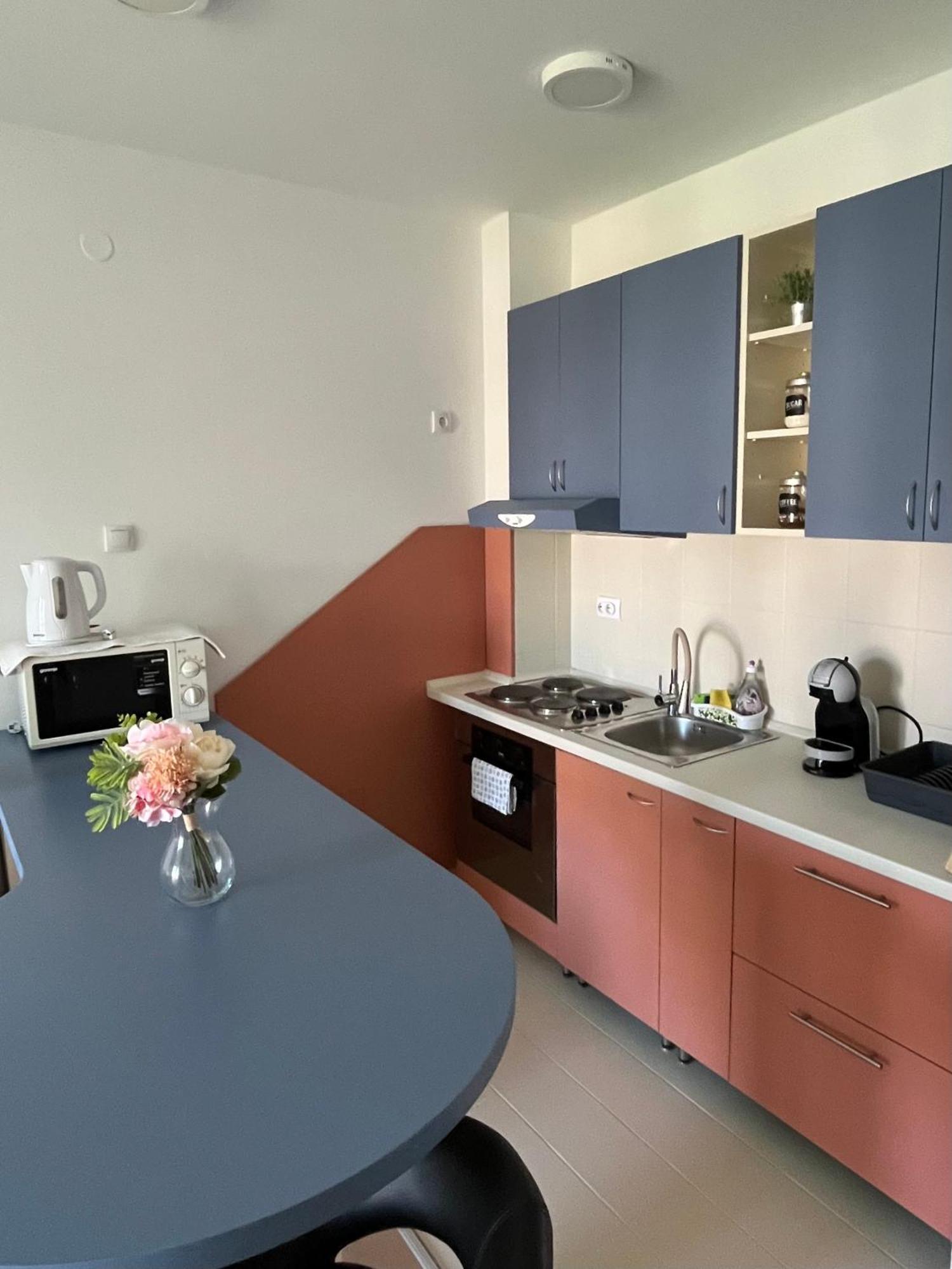 Apartment Vera With Free Garage Nowy Sad Zewnętrze zdjęcie